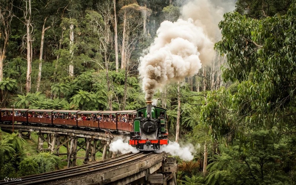 Chuyến Tàu Hơi Nước Cổ Tộc Puffing Billy