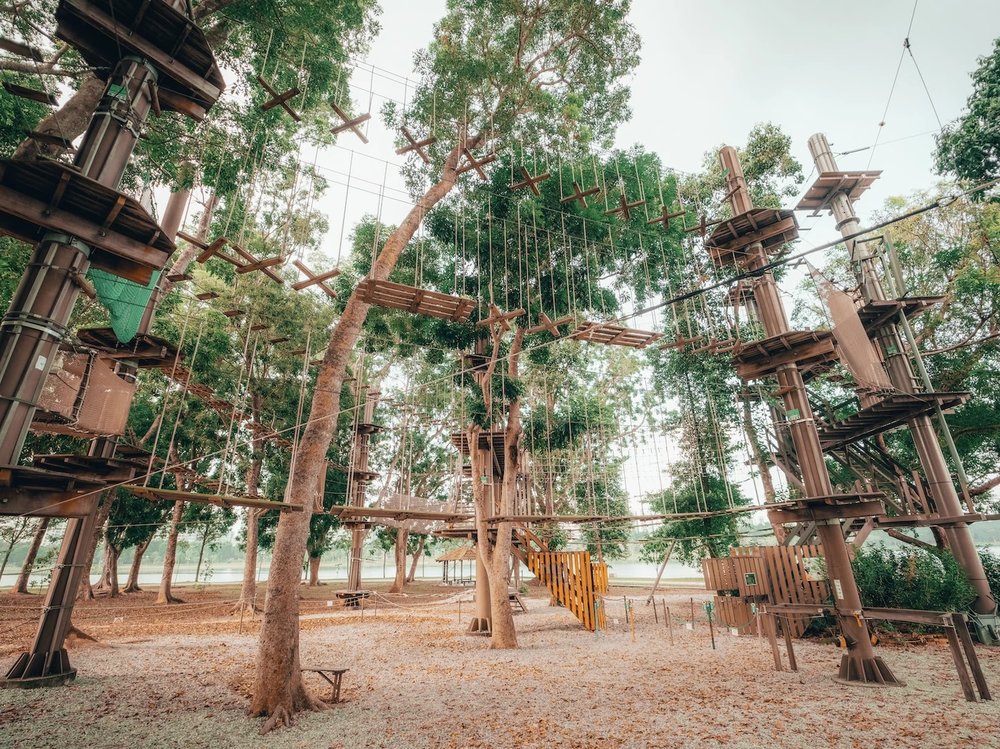 SG - Forest Adventure Treetop Adventure