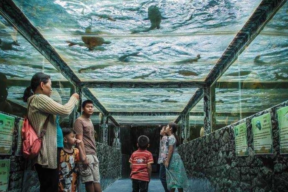 Thủy Cung Monster Aquarium: Tọa Độ Khám Phá Sinh Vật "Độc Lạ" Cùng Cạ Cứng 