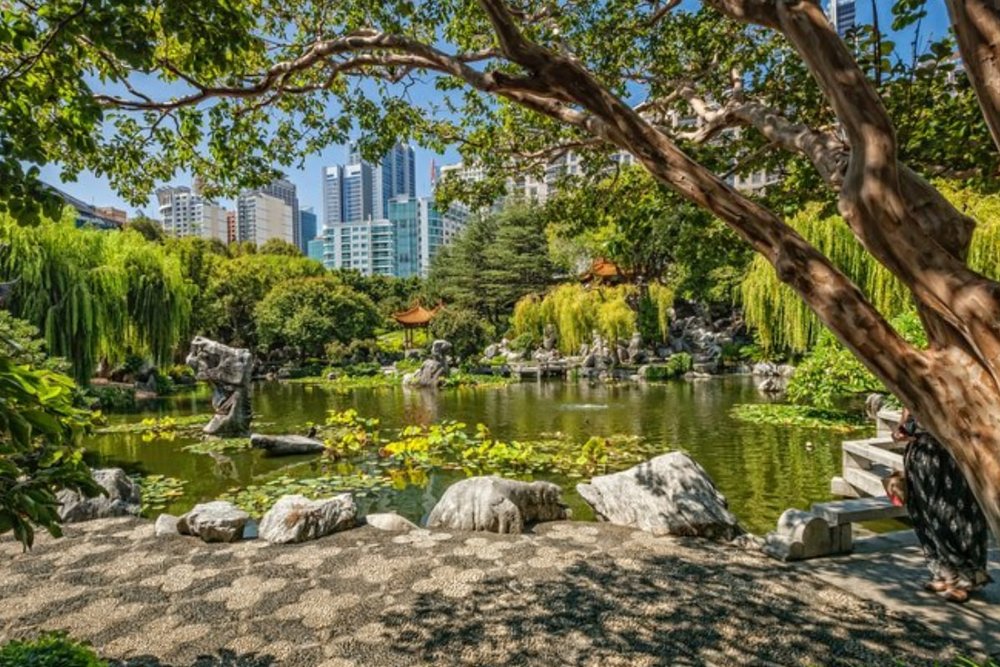 Vườn Hữu Nghị Trung Hoa - Nốt Trầm Bình Yên Giữa Lòng Sydney