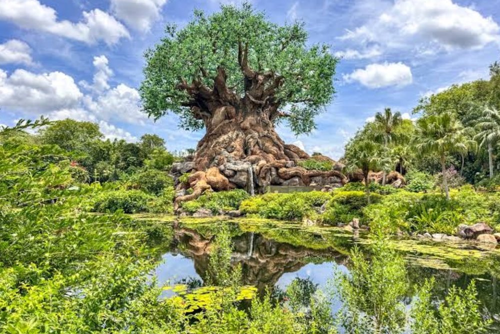 Disney’s Animal Kingdom - Hành Trình Khám Phá Thiên Nhiên Kỳ Diệu Cùng Con