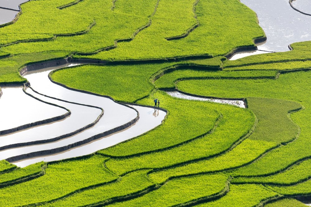 Mùa Nước Đổ Sapa Là Gì Mà Khiến Du Khách Say Lòng?