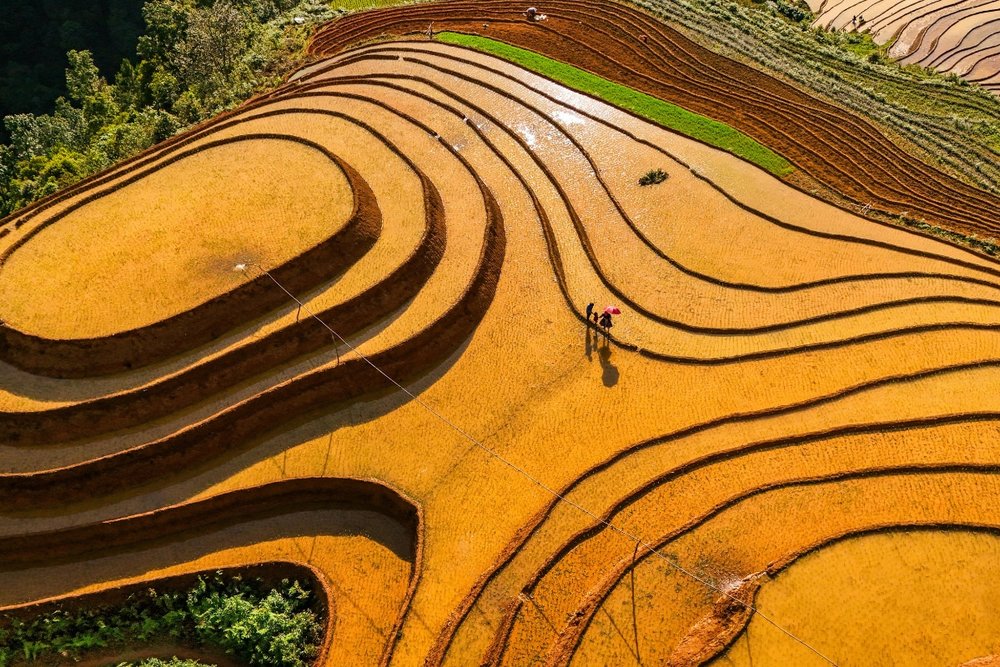 Thung Lũng Mường Hoa - Trái Tim Của Mùa Nước Đổ