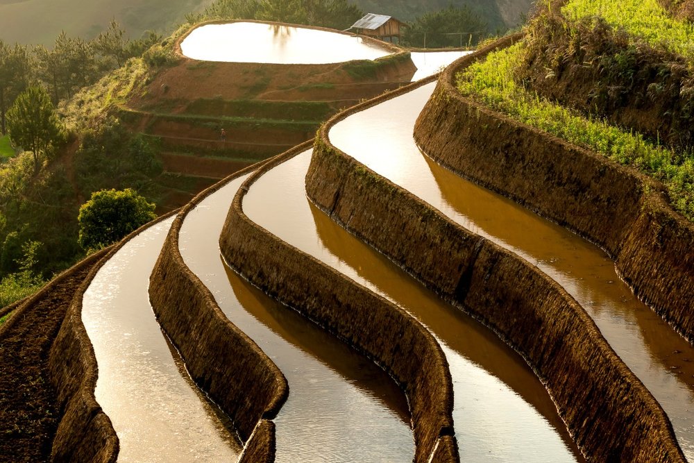 Thung Lũng Mường Hoa - Trái Tim Của Mùa Nước Đổ