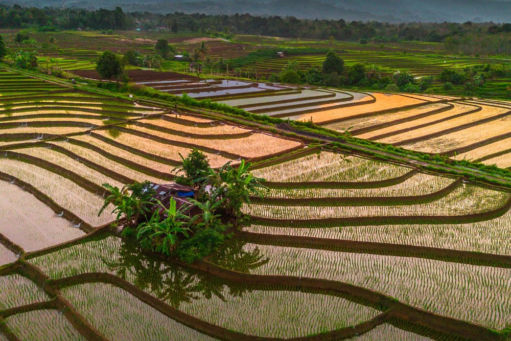 Thời Điểm Vàng Để Săn Ảnh Sapa Mùa Nước Đổ