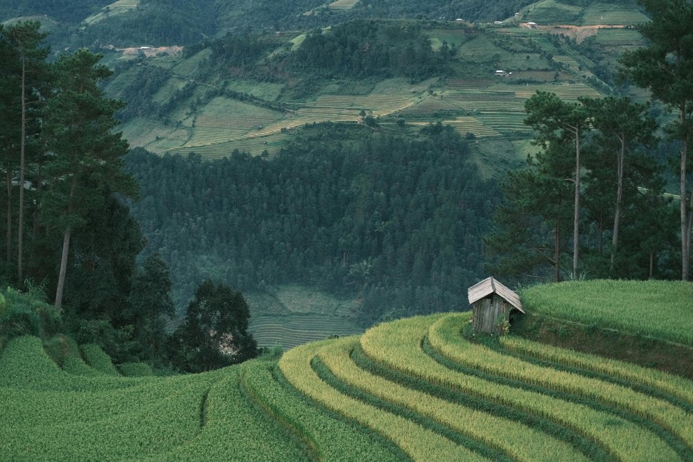 Lưu Ý "Xương Máu" Cho Chuyến Du Lịch Sapa Mùa Nước Đổ