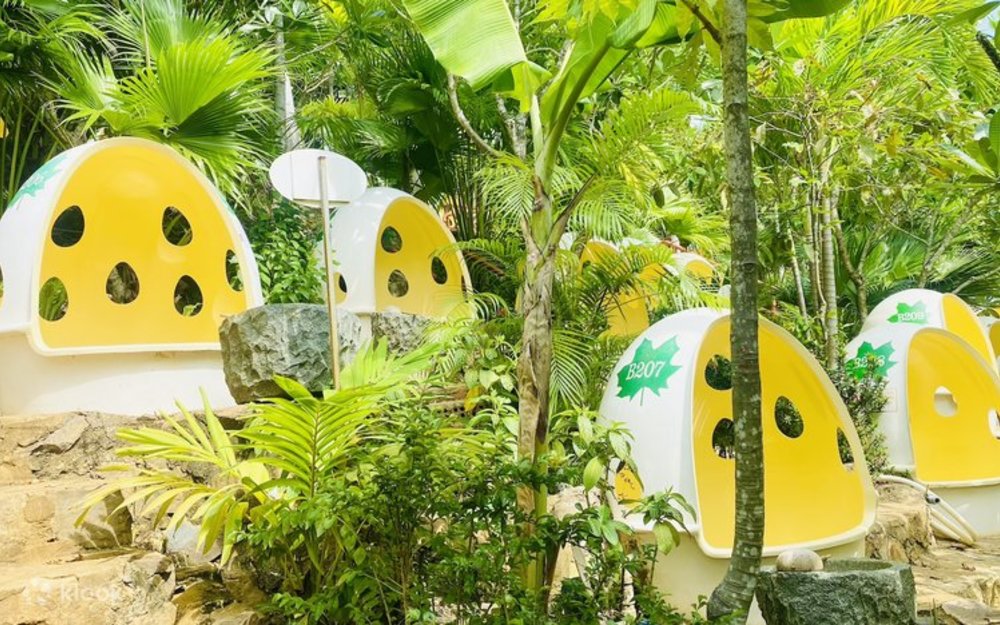 Khu Du Lịch Trăm Trứng Ở Đâu Và Di Chuyển Thế Nào?