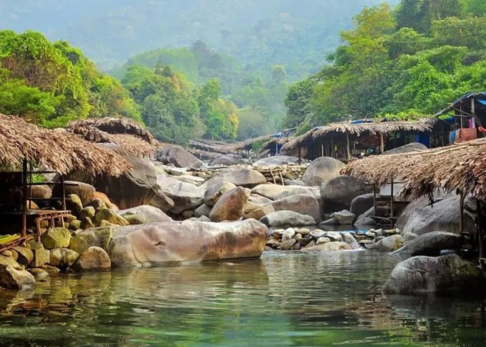 Trải Nghiệm Trekking Xuyên Rừng Đầy Phấn Khích 