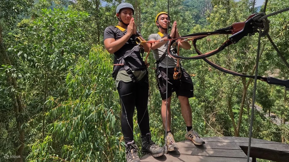 Zipline Canopy - Bay Giữa Những Tán Cây Cổ Thụ
