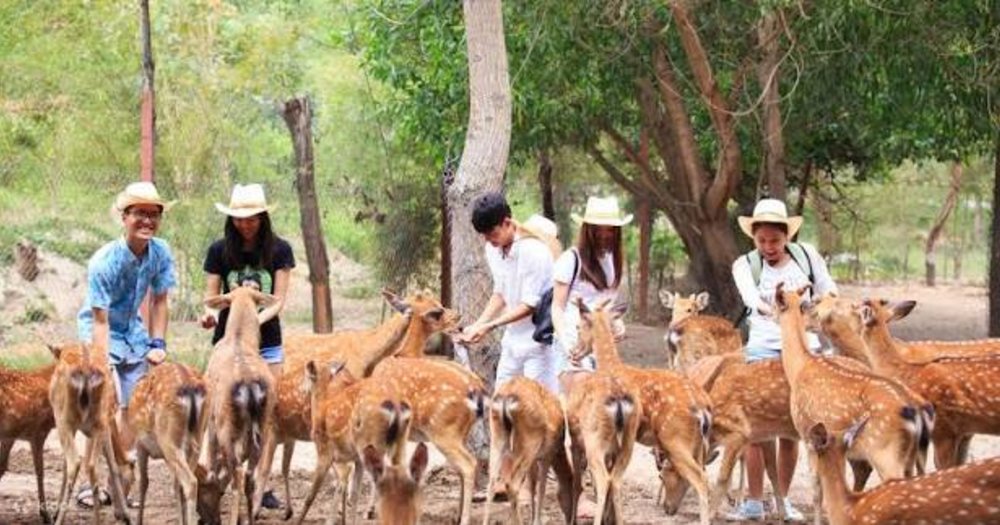 Khám Phá Con Đường Hoa Lan Và Vườn Bướm