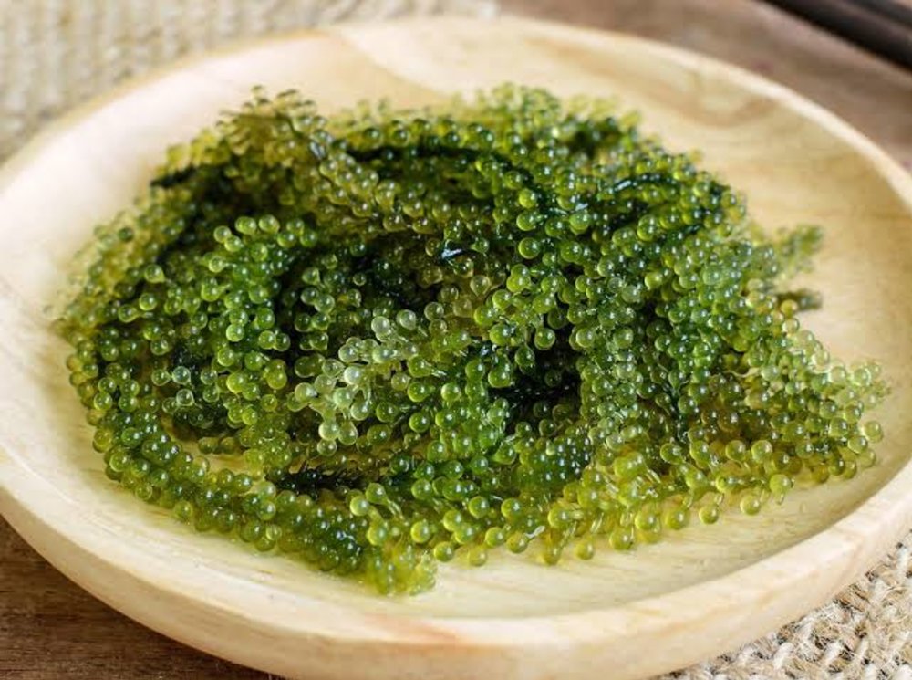 Nem Chua Ninh Hòa Truyền Thống