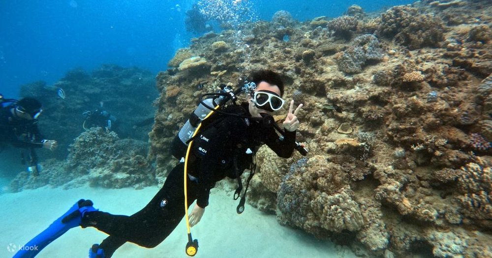 Scuba Diving (Lặn Bình Khí)