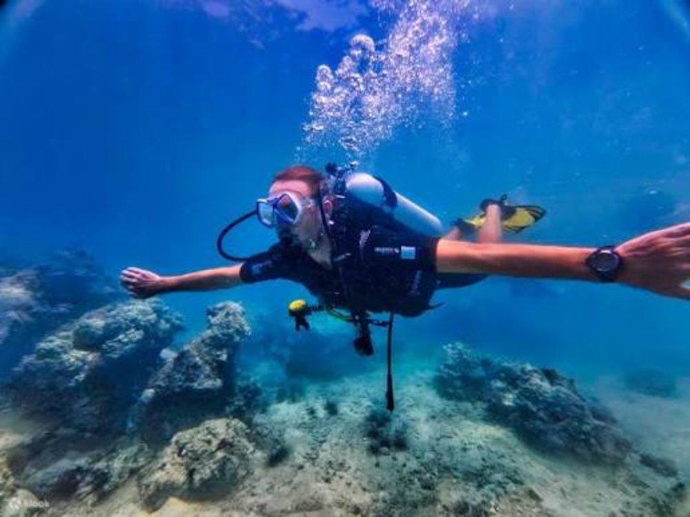 Thời Điểm Vàng Để Khám Phá Đại Dương Nha Trang