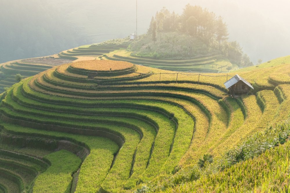 mu-cang-chai
