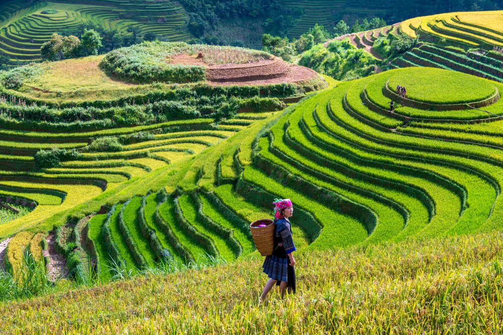 Kinh Nghiệm Săn Ảnh Tại Đồi Mâm Xôi