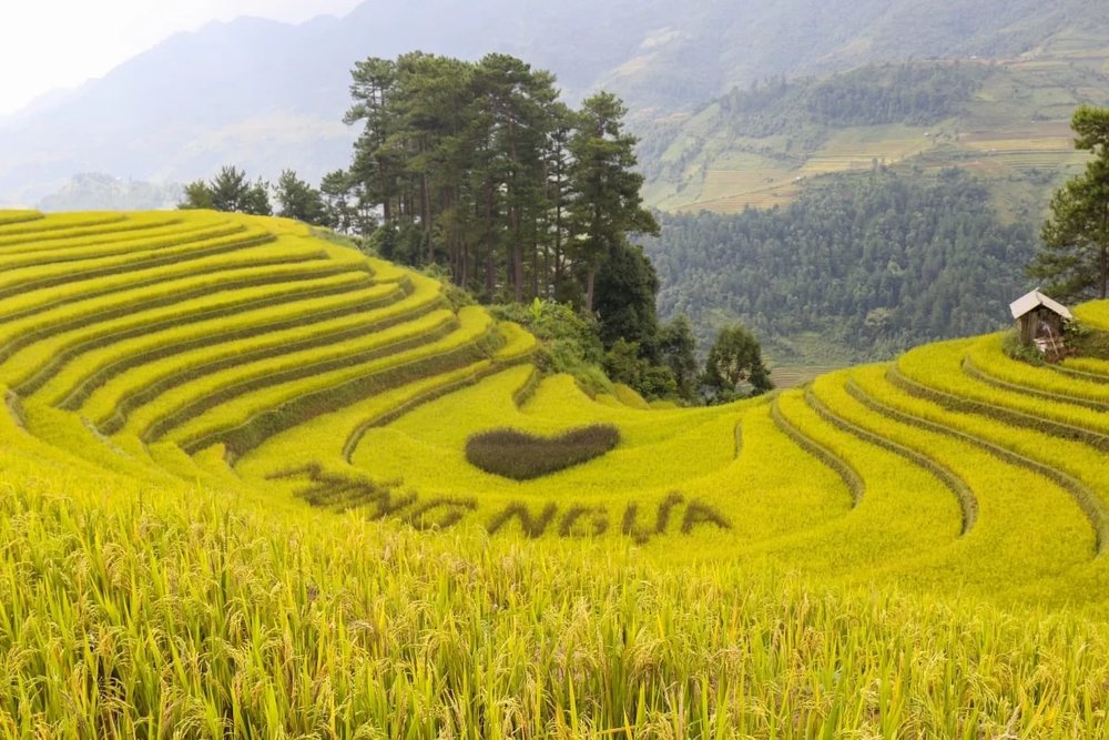  Đồi Móng Ngựa (Bản Sáng Nhù) - Tọa Độ Ngắm Hoàng Hôn Đẹp Nhất