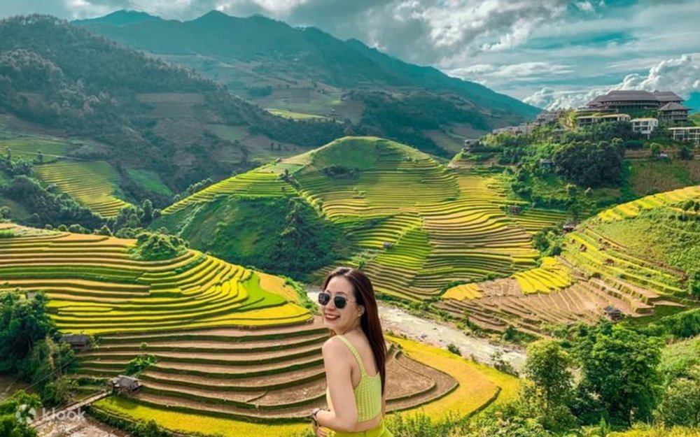 Bay Trên Mùa Vàng Ở Đèo Khau Phạ 