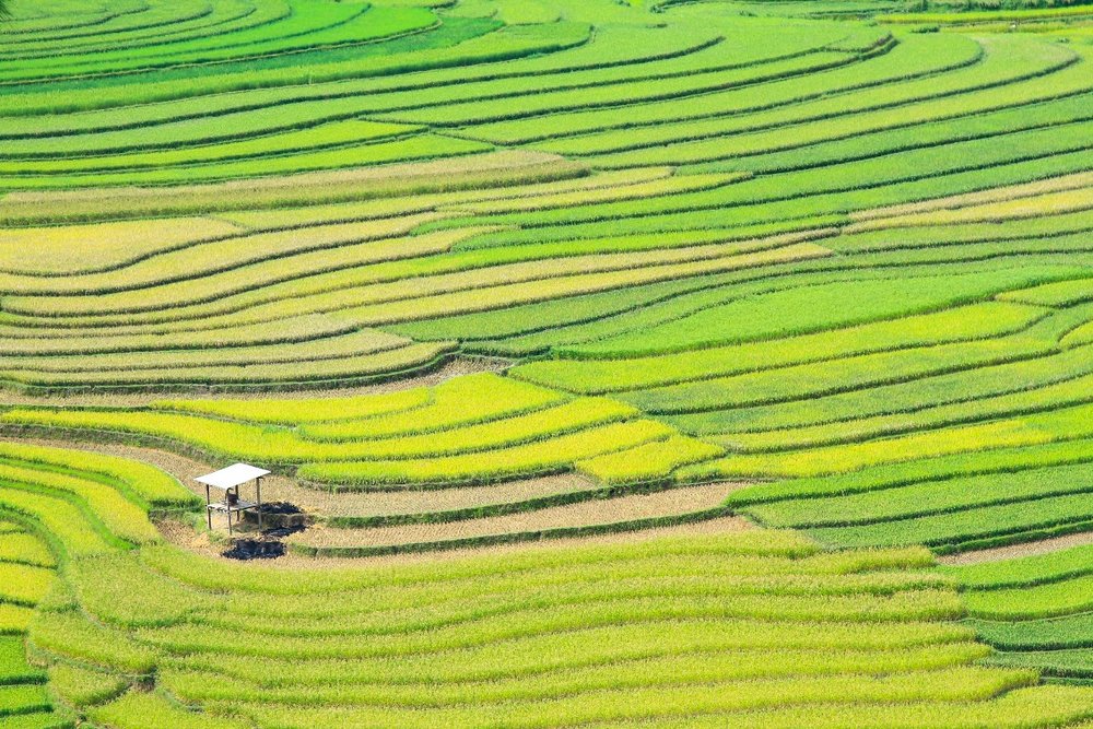 Trải Nghiệm Tắm Suối Khoáng Nóng