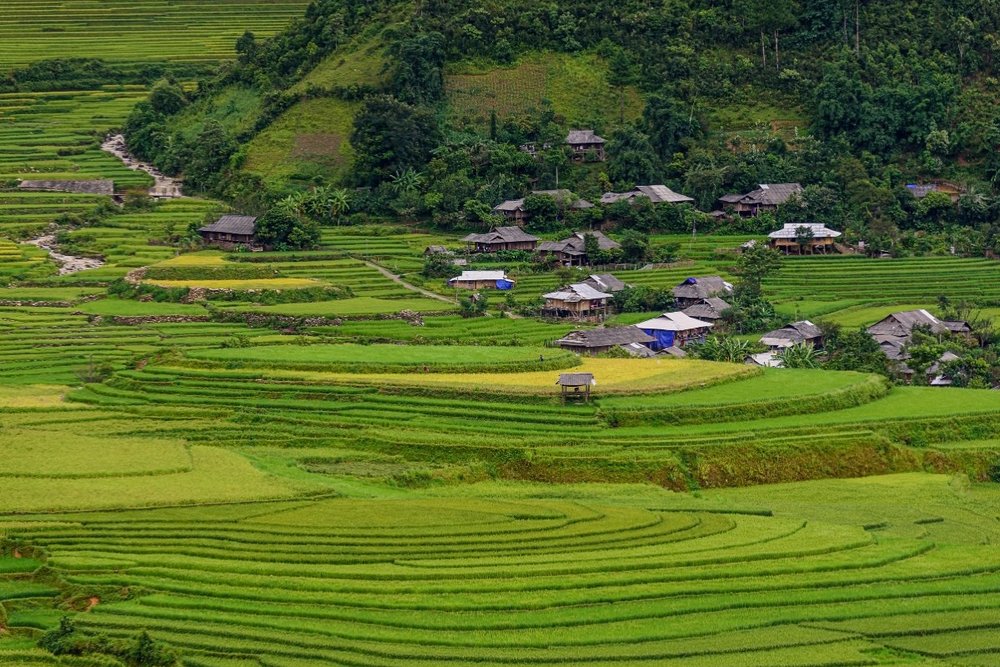 Bản Lìm Mông & Lìm Thái - Vẻ Đẹp Bình Yên Dưới Chân Đèo