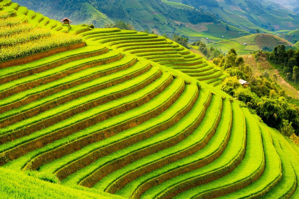 Xã Chế Cu Nha - Những Thửa Ruộng Bậc Thang Cao Ngút Ngàn
