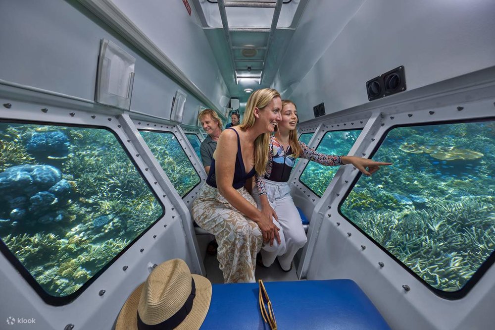 Trải Nghiệm Liveaboard: Khi Đại Dương Trở Thành Nhà Của Bạn