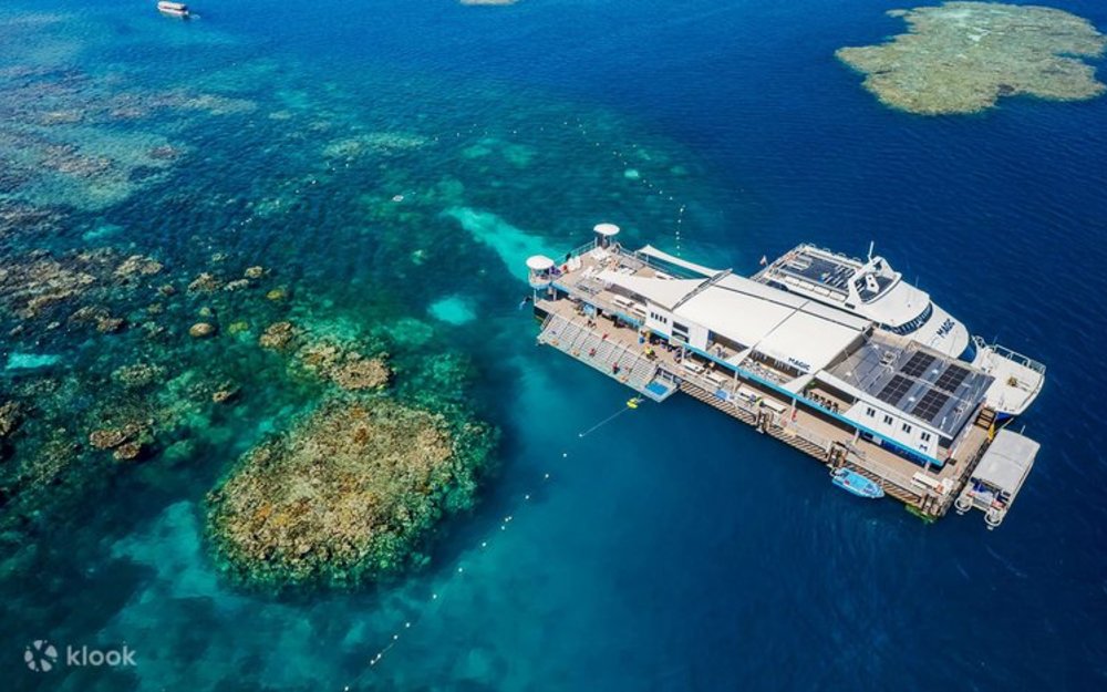 Trải Nghiệm Liveaboard: Khi Đại Dương Trở Thành Nhà Của Bạn