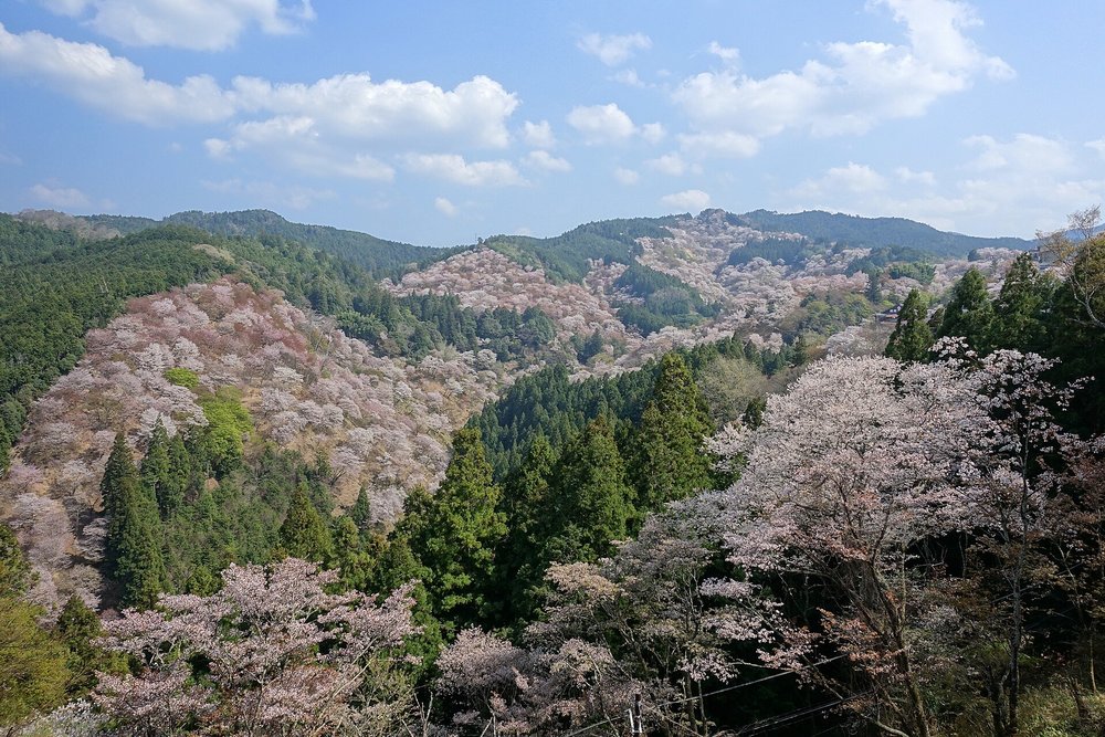 Yoshida-yama Hill
