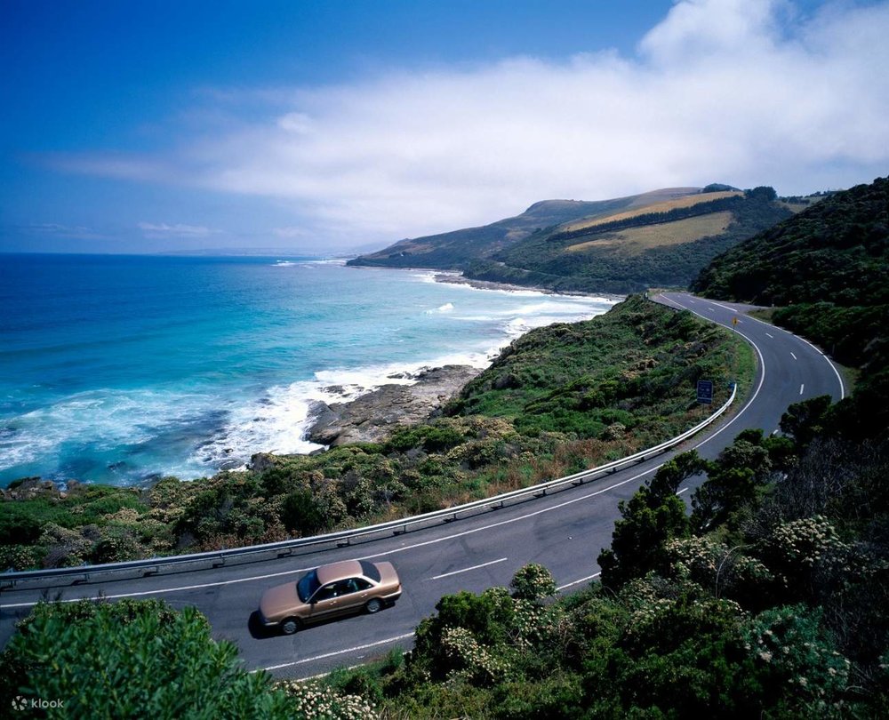 Great Ocean Road - Cung Đường Ven Biển Đẹp Nhất Hành Tinh Có Gì?