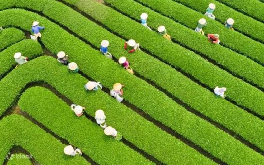 Ngày 1: Hà Nội - Sơn La - Bước Chân Vào "Địa Ngục Trần Gian"