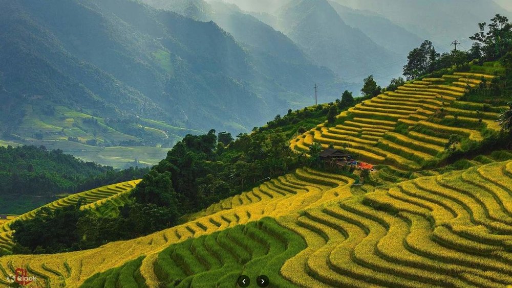 Thung Lũng Mường Hoa - Hành Trình Thưởng Ngoạn An Nhàn