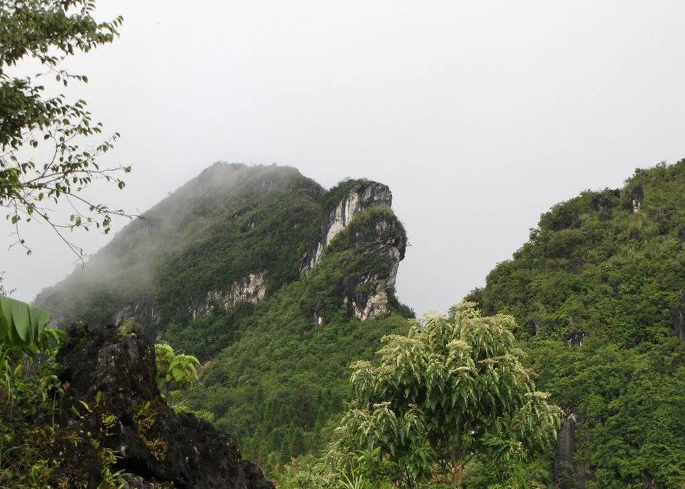 Núi Hàm Rồng - Công Viên Hoa Giữa Lòng Thị Trấn