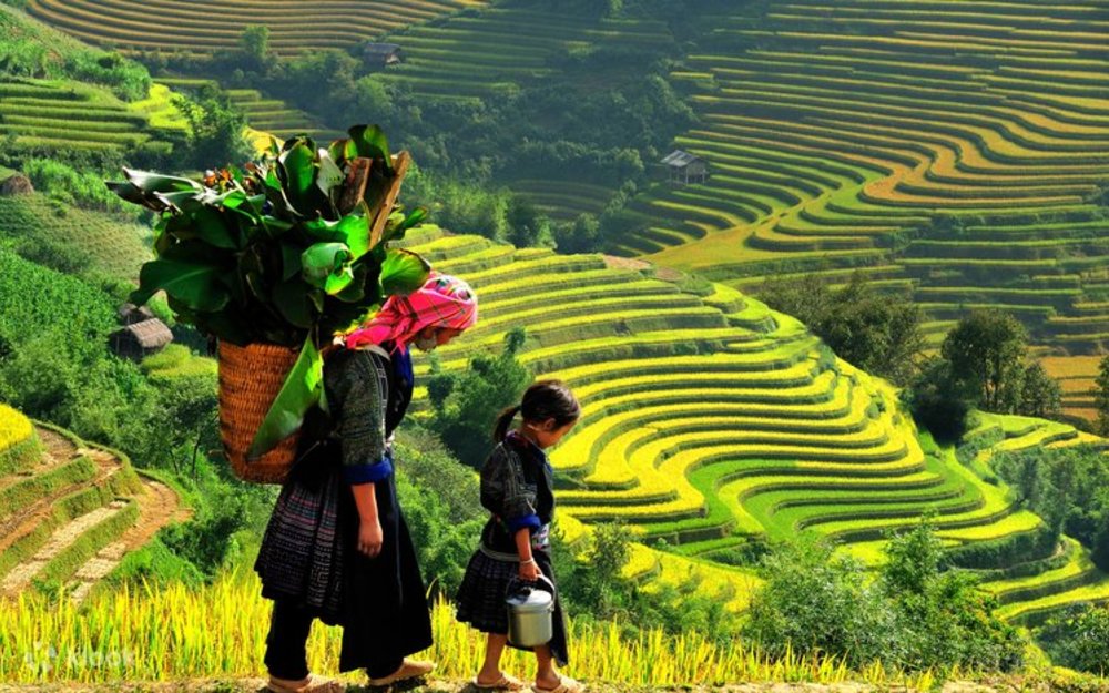 Bản Tả Van - Trải Nghiệm Nghỉ Dưỡng Làng Quê