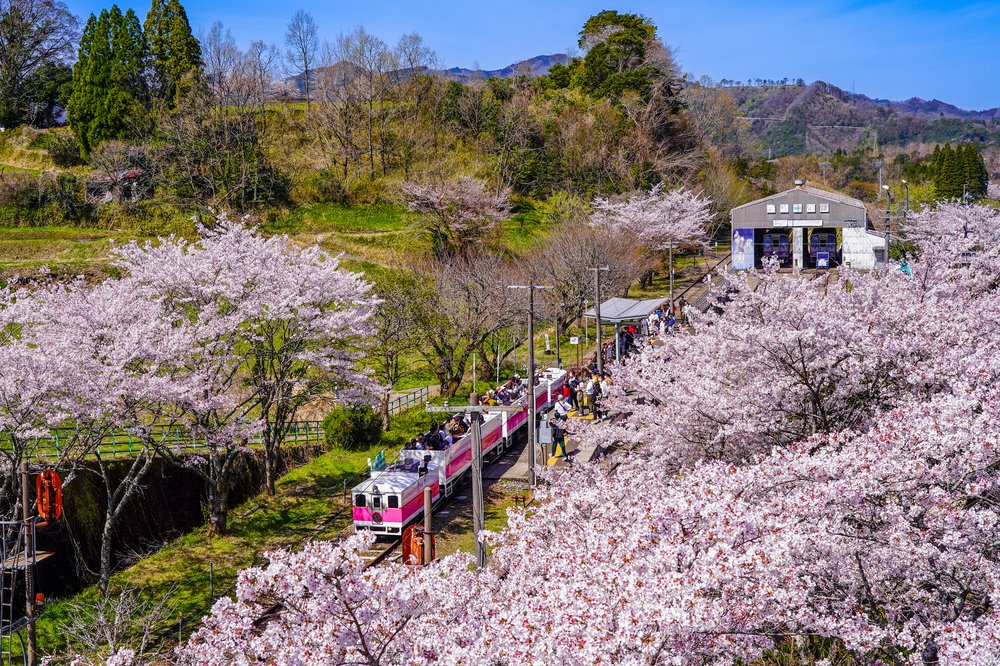 天照鐵道「Grand Super Cart」