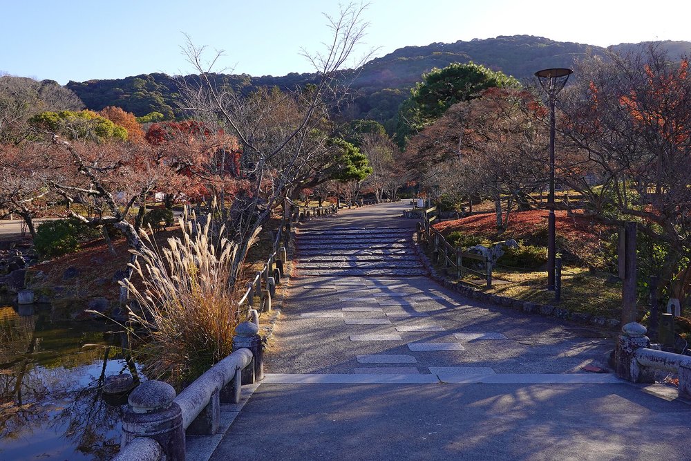 Maruyama Park Kyoto Japan