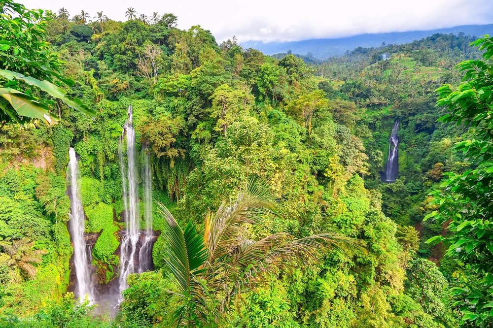  Bước Vào Thế Giới Tâm Linh Huyền Bí Tại Rừng Khỉ Ubud