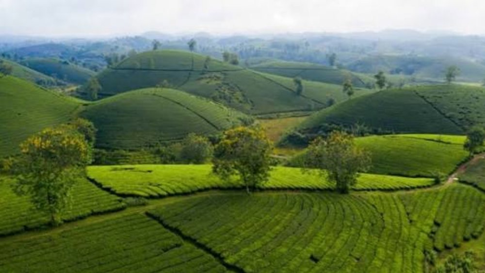 Buổi Sáng Khởi Hành Rời Xa Phố Thị Nhộn Nhịp