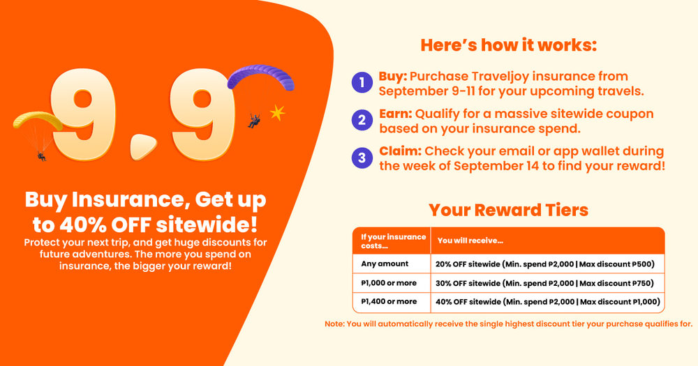 9.9 Insurance Campaign