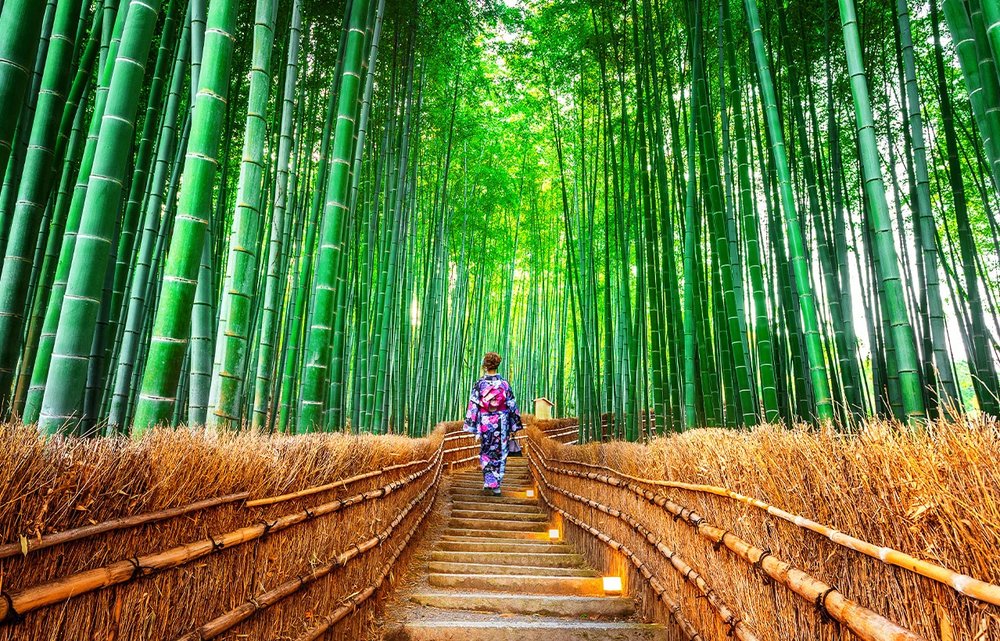 SG - Arashiyama Bamboo Forest
