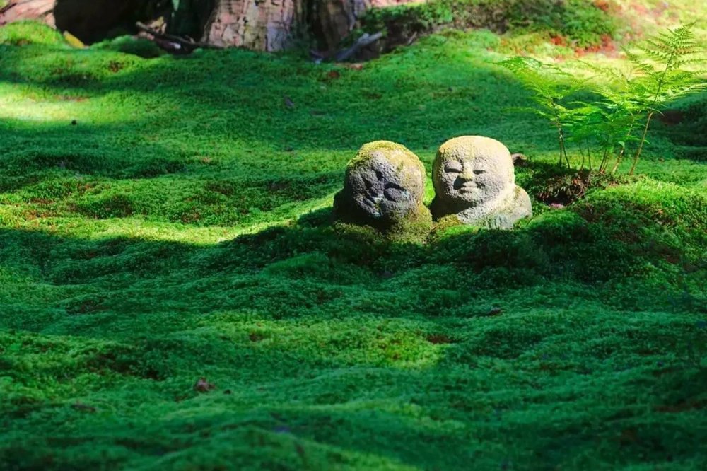 sg - Sanzen-in Temple
