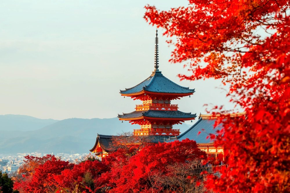 SG - kyoto