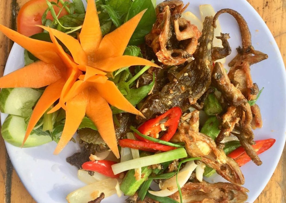 Thằn Lằn Núi Bà Đen - Đệ Nhất Đặc Sản Vùng Cao