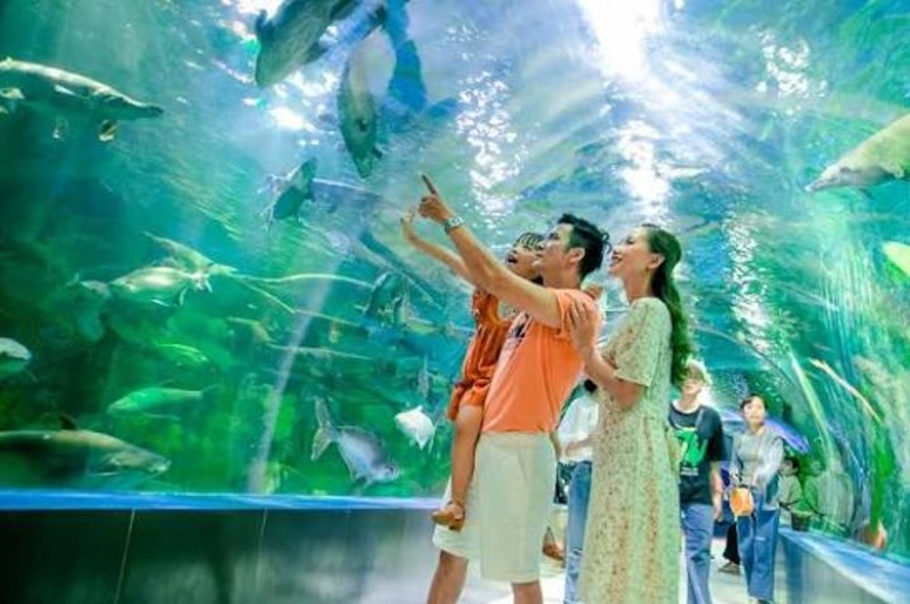 Trải Nghiệm Tour Du Thuyền Ngắm Hoàng Hôn Trên Vịnh