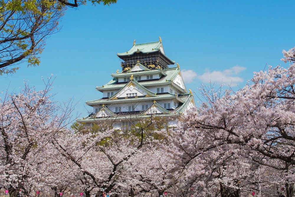 Visit Osaka castle in the Spring