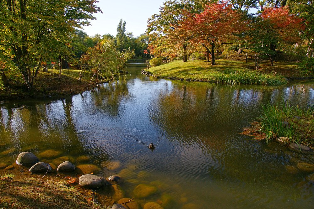 Sapporo Autumn Leaves
