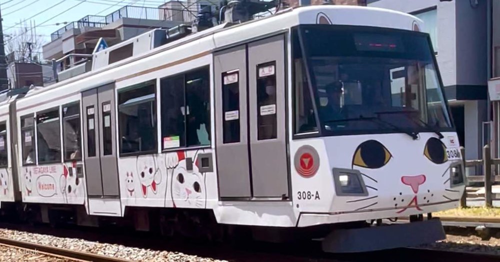 Lựa Chọn 1: Đi Bằng Tuyến Odakyu Line (Phố Biến Nhất)