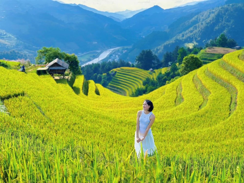 SG - sapa rice terraces