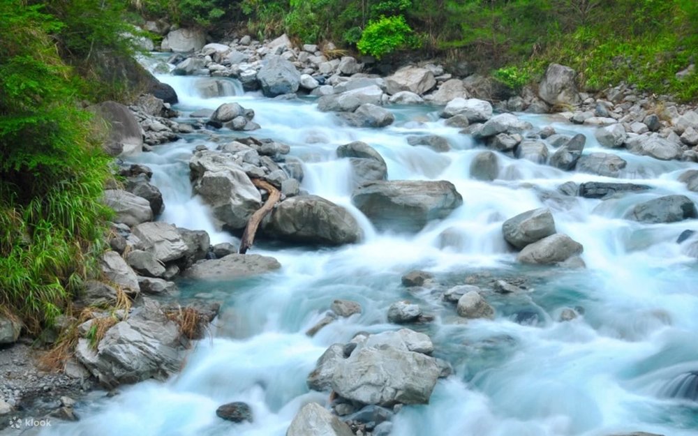 Rừng Quốc Gia Basianshan: Hơi Thở Mùa Thu Giữa Lòng Đài Trung