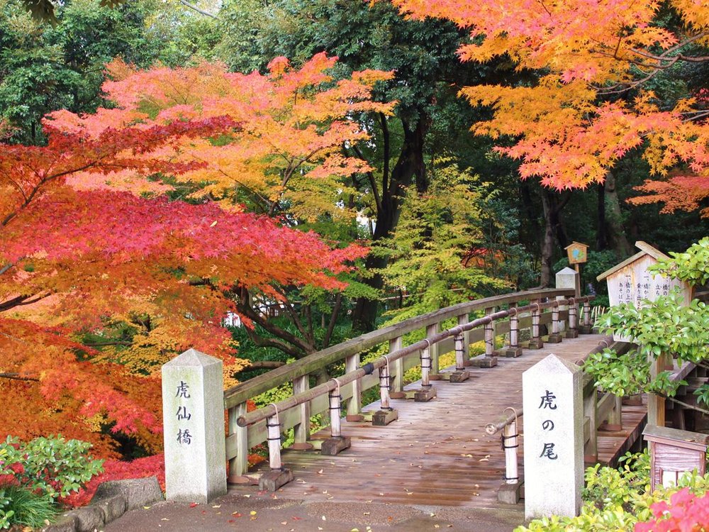 德川園 虎仙橋