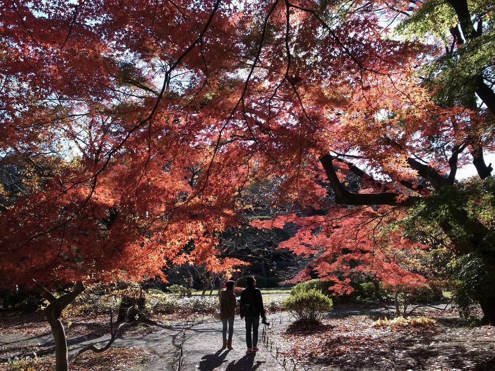 shinjuku gyoen