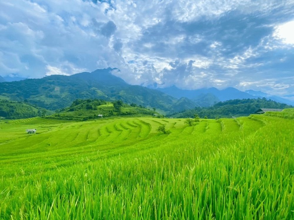Nậm Cang Sapa